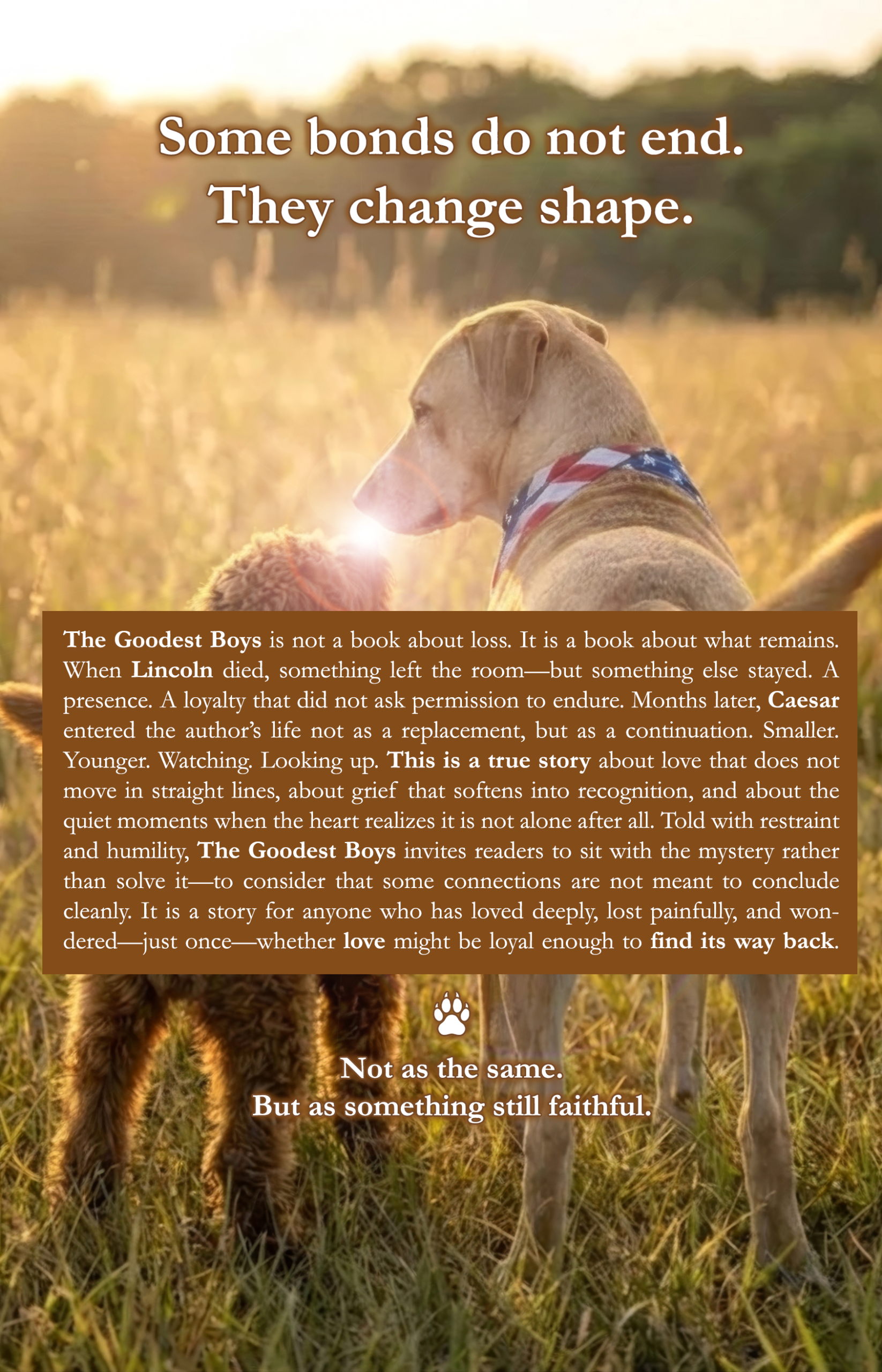 Back Cover