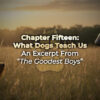 tgb-chap15